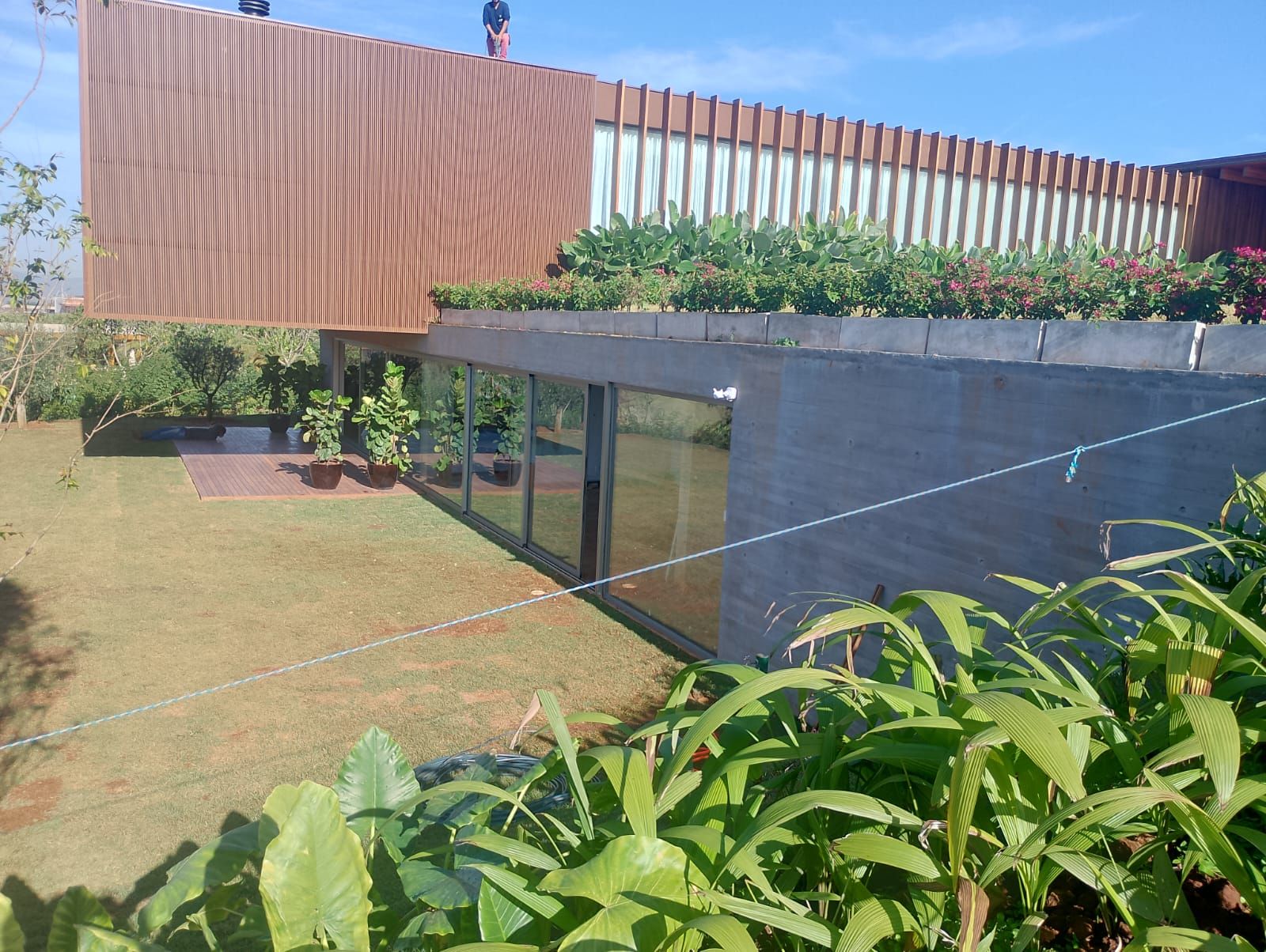 Residência com fachada em madeira e paisagismo